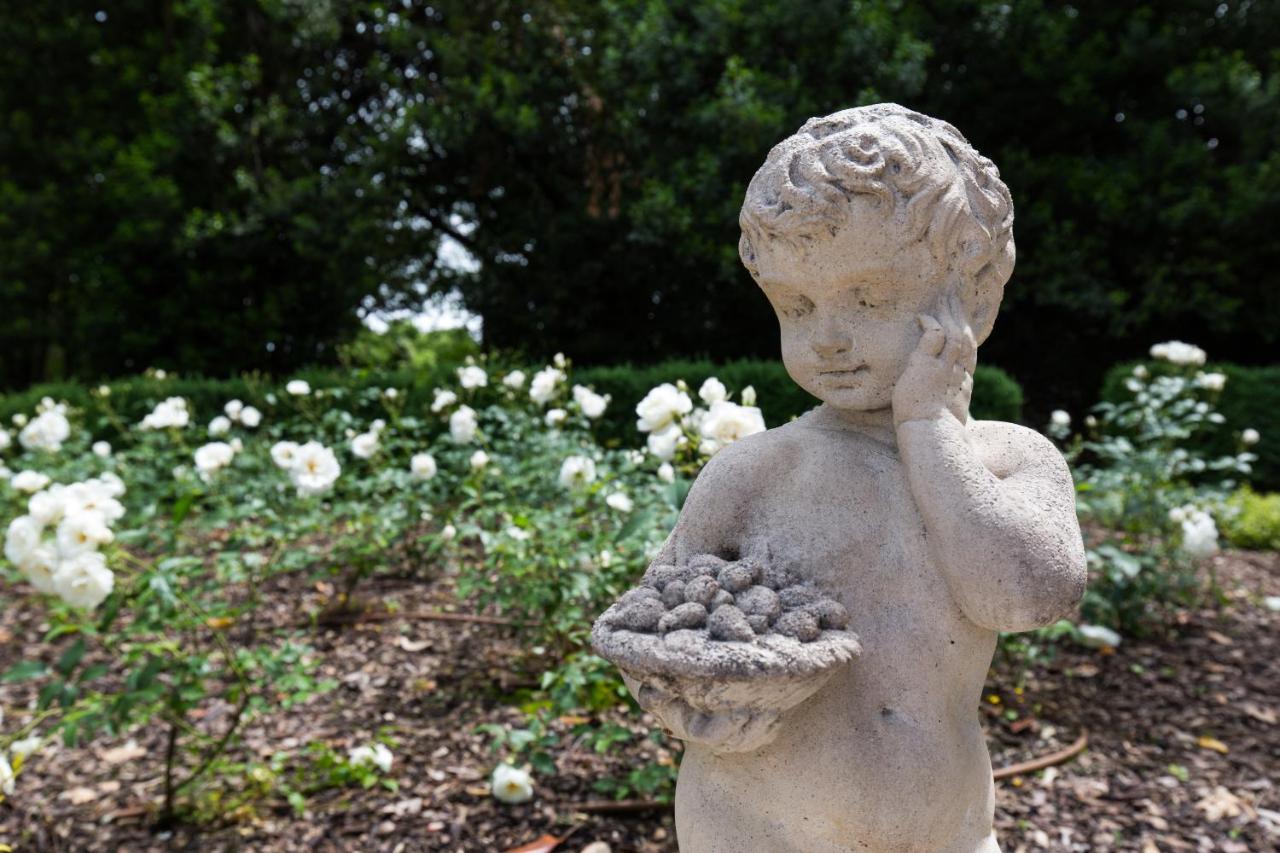 Villa Saccomani ソンマカンパーニャ エクステリア 写真